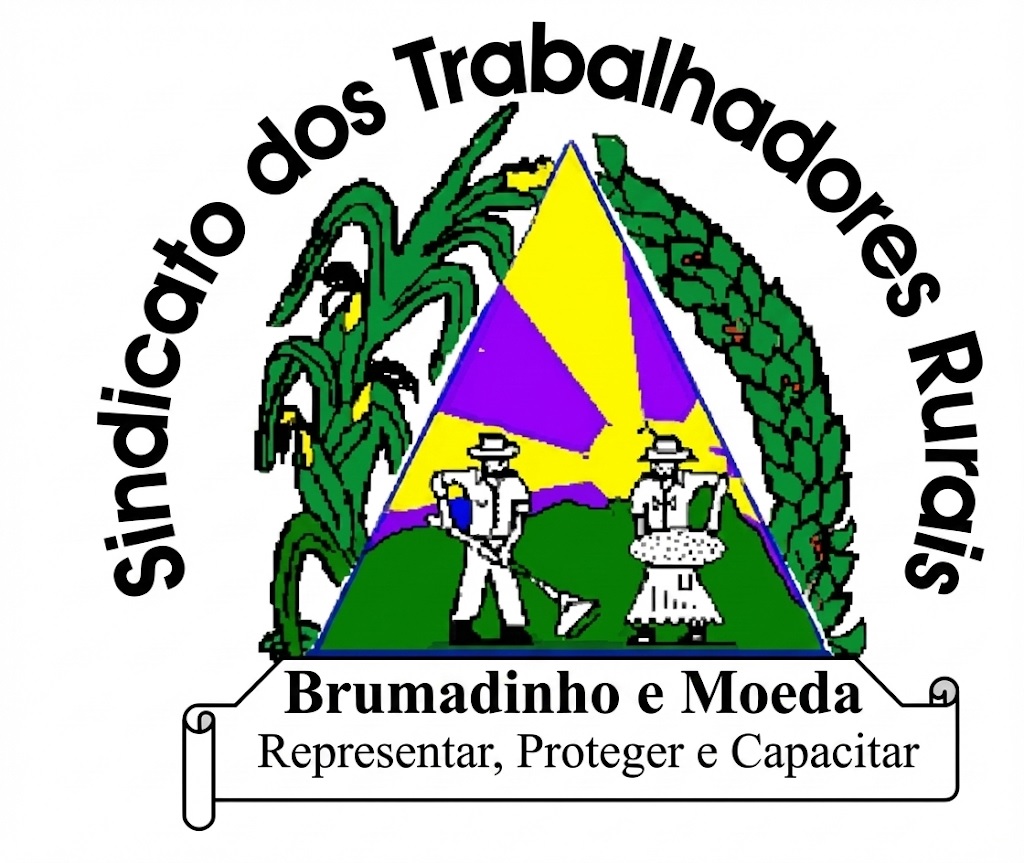 Logo STR Brumadinho e Moeda